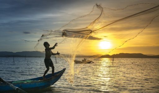 Implikasi Larangan Ekspor Benih Lobster Terhadap Indonesia: Memerangi Penjarahan Sumber Daya Negara dan Meningkatkan Keberlanjutan