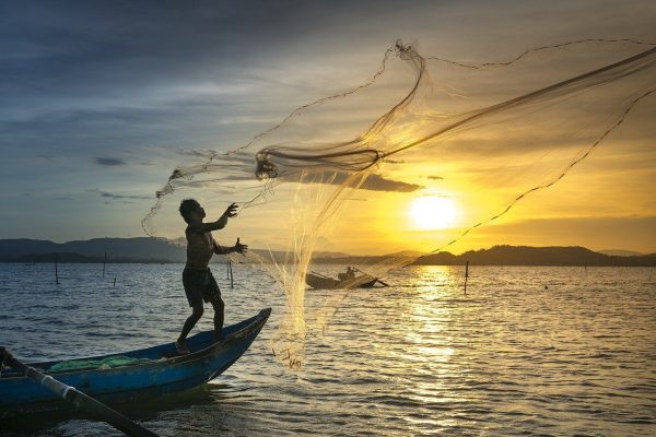 Implikasi Larangan Ekspor Benih Lobster Terhadap Indonesia: Memerangi Penjarahan Sumber Daya Negara dan Meningkatkan Keberlanjutan