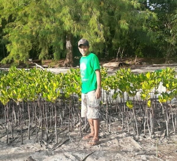 Berbagai Manfaat Hutan Mangrove Terhadap Kehidupan Masyarakat Pesisir