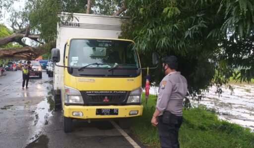 Puting Beliung di Sumenep, Satu Mobil Box Tertimpa Pohon Asam